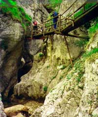 Durch die Brenschtzklamm